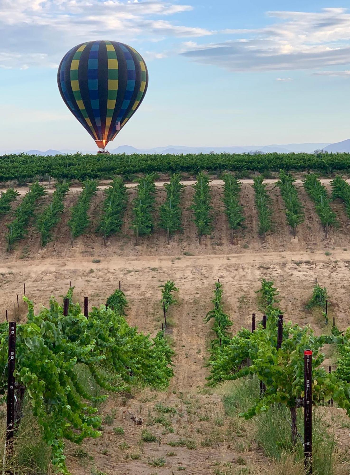 Domaine Chardonnay Bed & Breakfast Temecula Exterior foto