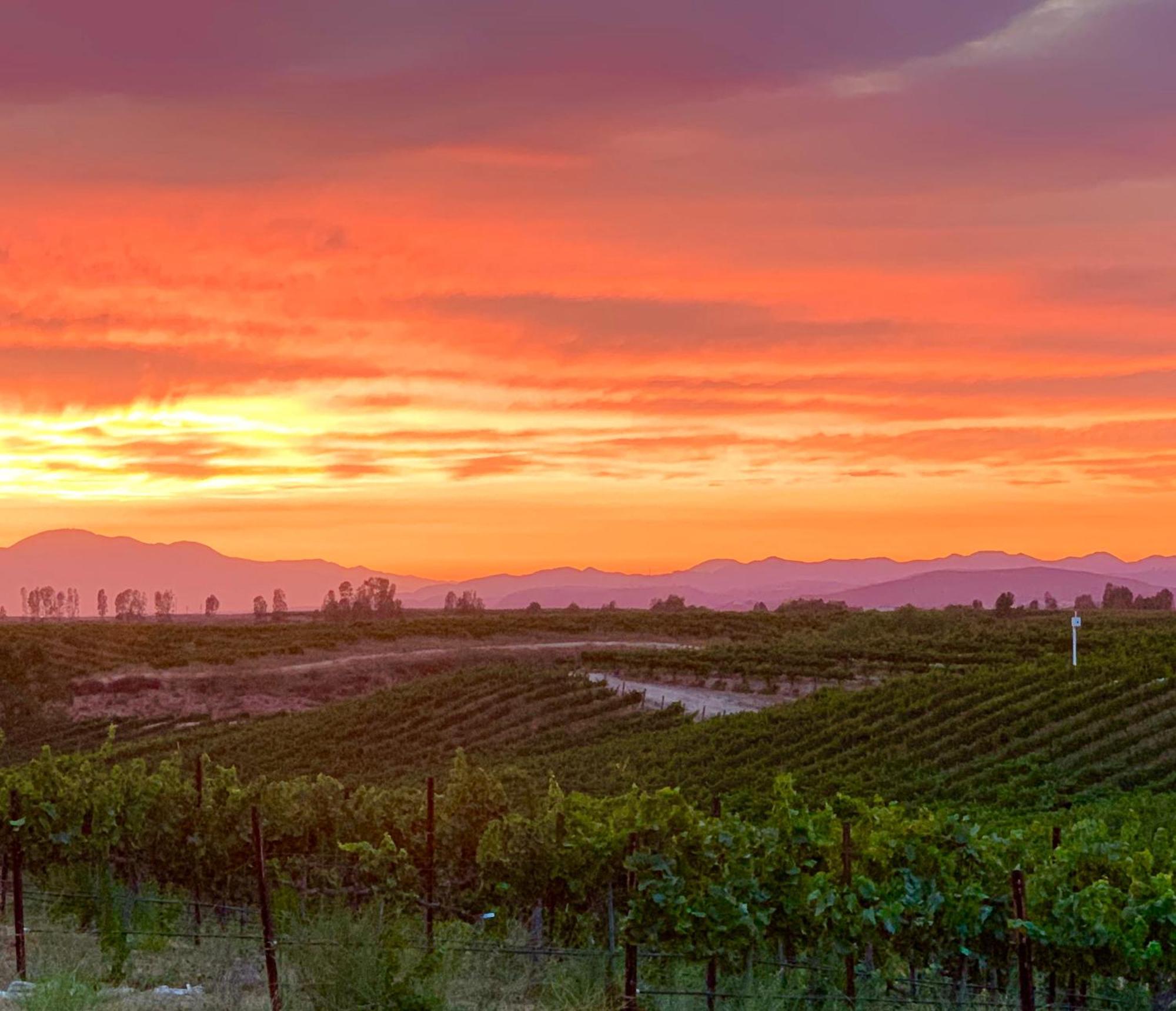 Domaine Chardonnay Bed & Breakfast Temecula Exterior foto